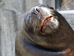 Tiergarten Schönbrunn am 23.03.2023